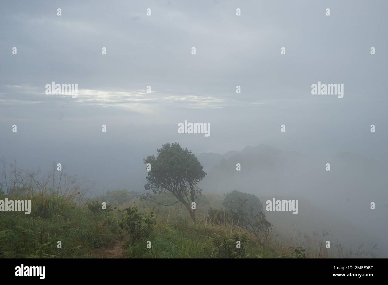 Vue sur le paysage naturel au sommet de la chaîne de montagnes verdoyantes et ciel bleu nuageux Banque D'Images