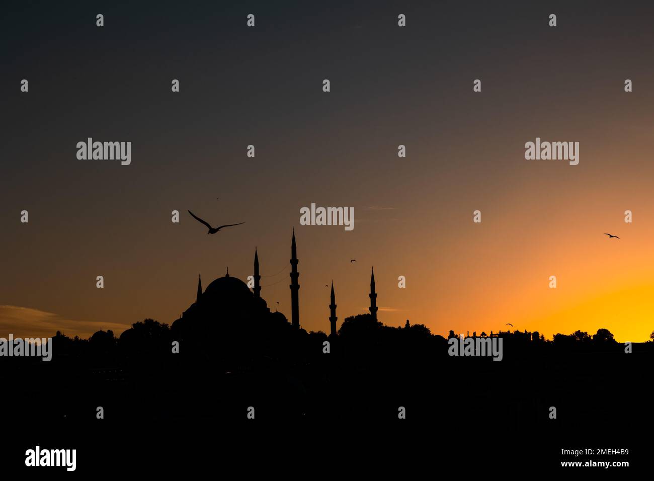 Mosquée Suleymaniye et mouettes au coucher du soleil. Ramadan ou photo islamique. Paysage urbain d'Istanbul. Banque D'Images