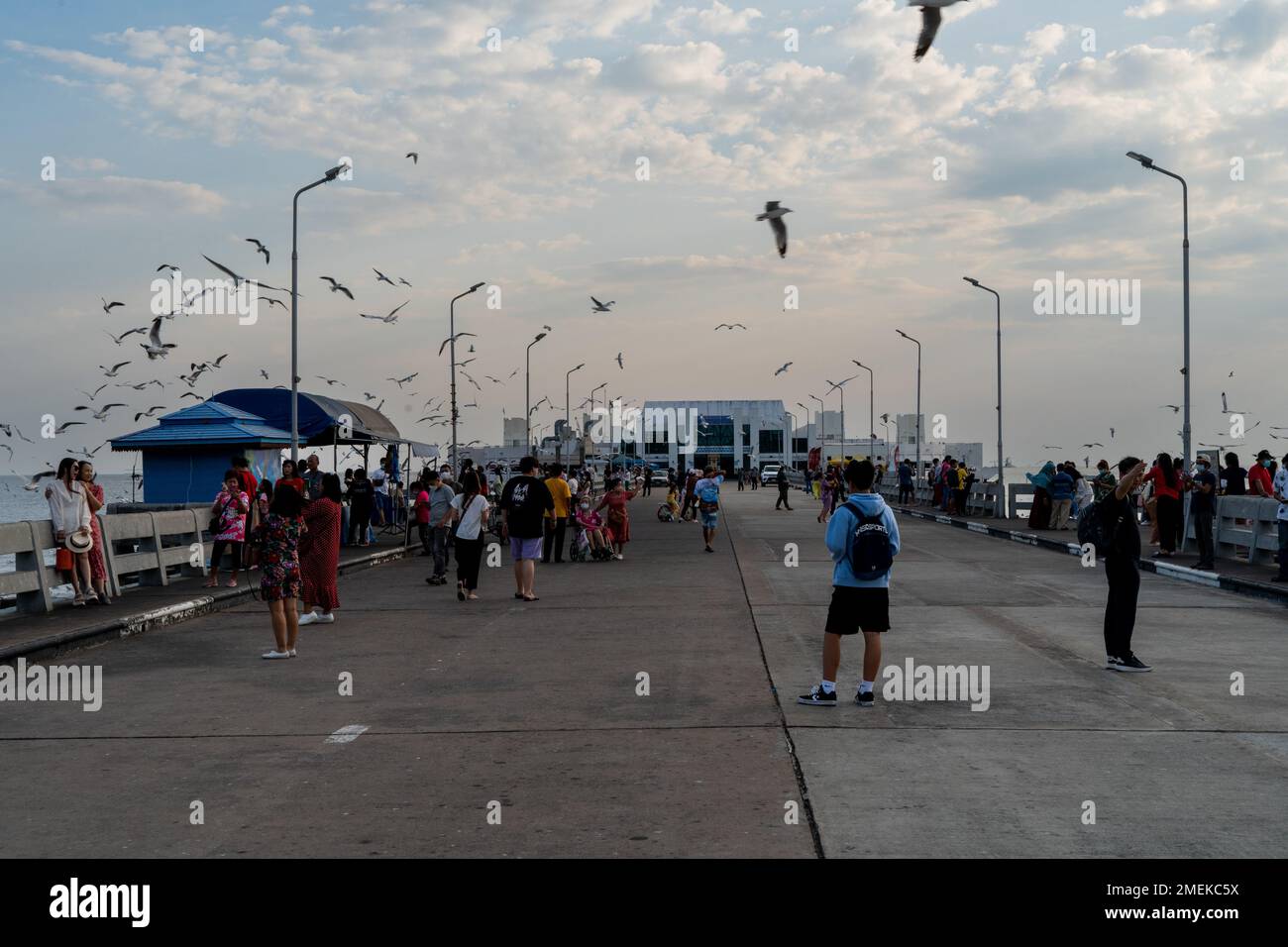 Les gens marchent le long d'un quai au centre de loisirs Bang pu, un quartier connu pour ses grandes troupeaux de mouettes et de mangroves. Banque D'Images
