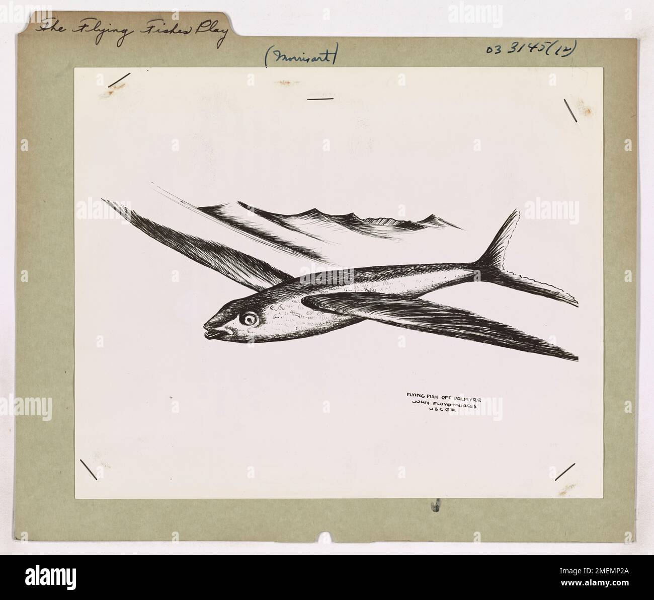 Le jeu Flying Fishes. Cette image représente un poisson volant au large de la côte de Palmyra, dessiné par l'artiste de combat de la Garde côtière John Floyd Morris. Banque D'Images