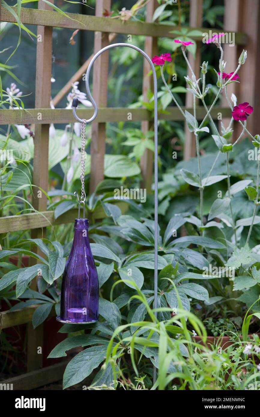 Bricolage jardin scultpure et l'éclairage - une lampe de thé dans une bouteille mauve attaché à un crochet de suspension, avec le treillis de jardin en arrière-plan Banque D'Images