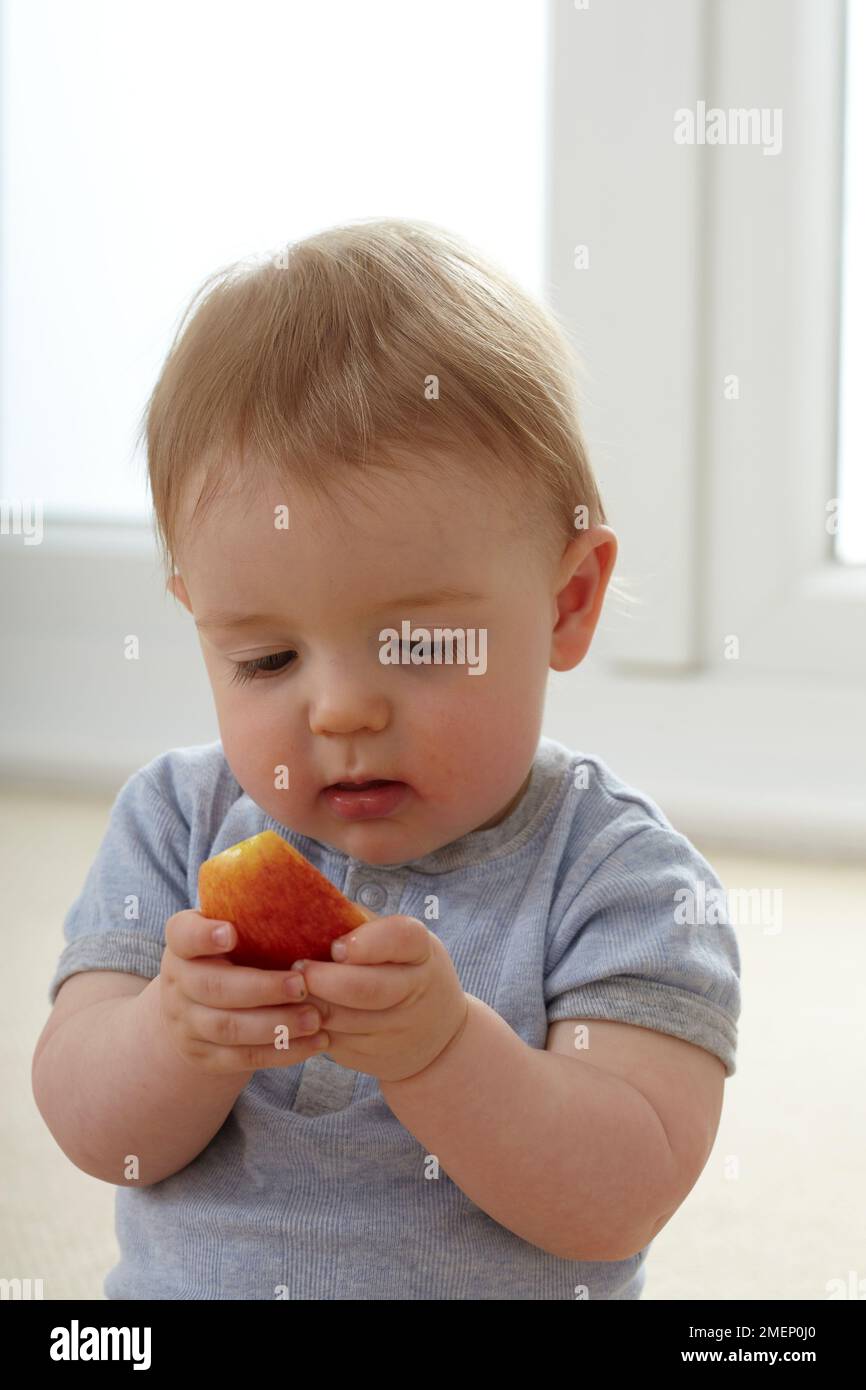 Bébé garçon (12 mois) assis sur un tapis tenant un morceau de pomme dans  ses mains, vue de face Photo Stock - Alamy