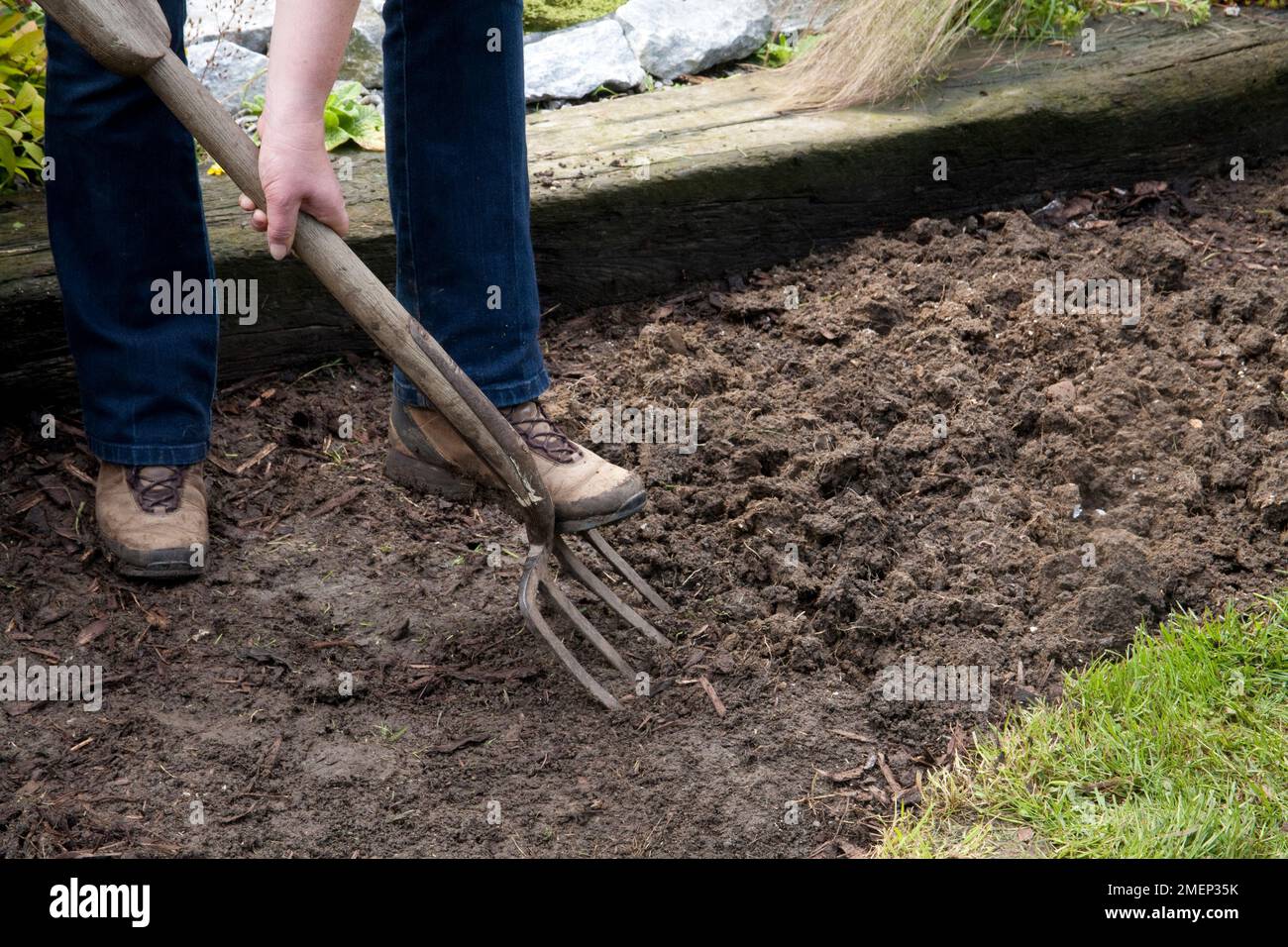 Faire un jardin de gravier sec. Forking le sol. Banque D'Images