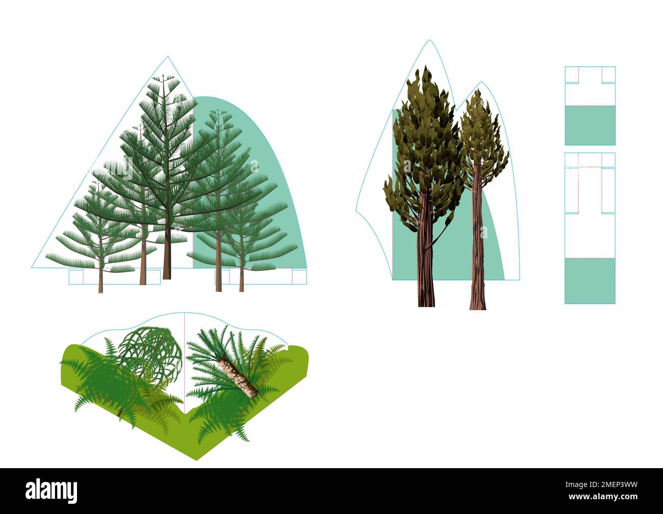 plantes-des-forets-illustration-banque-de-photographies-et-d-images