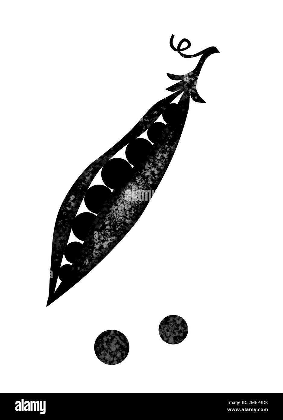 petits pois Banque D'Images