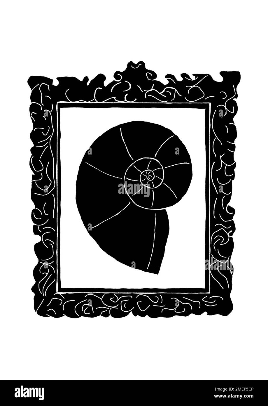 LE GOLDEN RATIO Banque D'Images