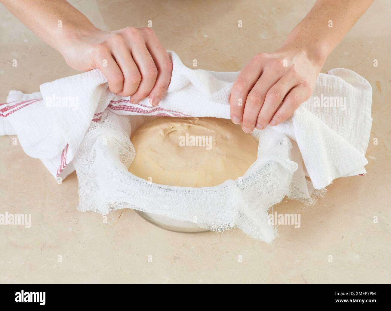 Faire du pain Sourdough, couvrir la pâte avec un torchon Banque D'Images