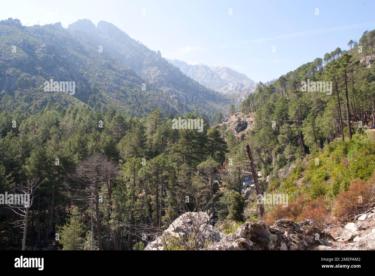 France, Corse, Vallée de la Restonica - vue sur la vallée Banque D'Images