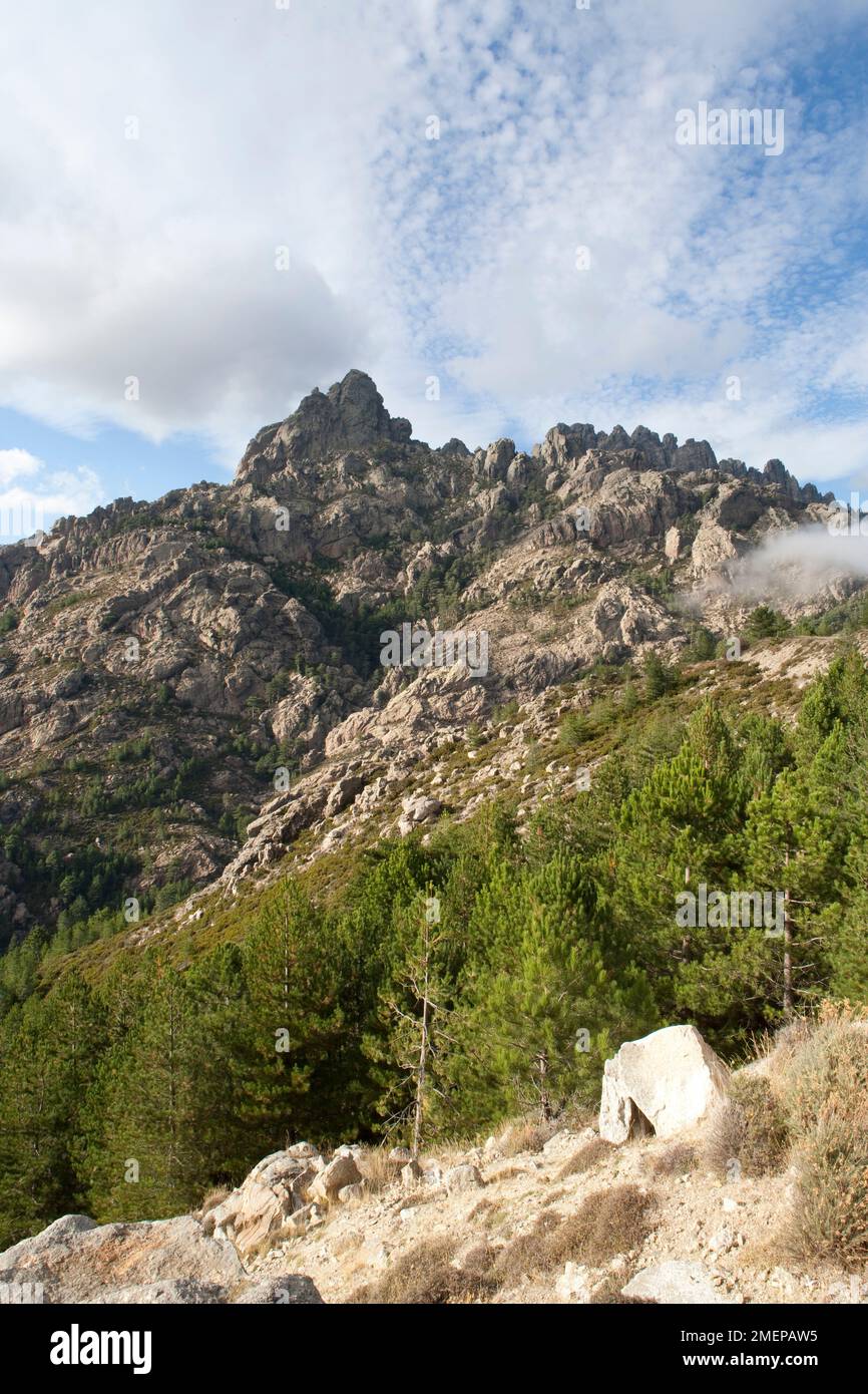 France, Corse, Aiguilles de Bavella près du sommet du Col de Bavella Banque D'Images