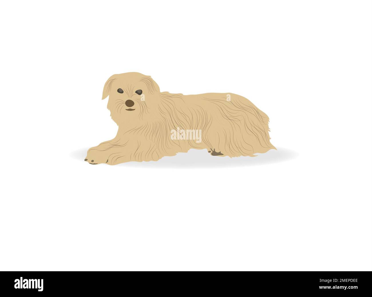 Chien Banque D'Images