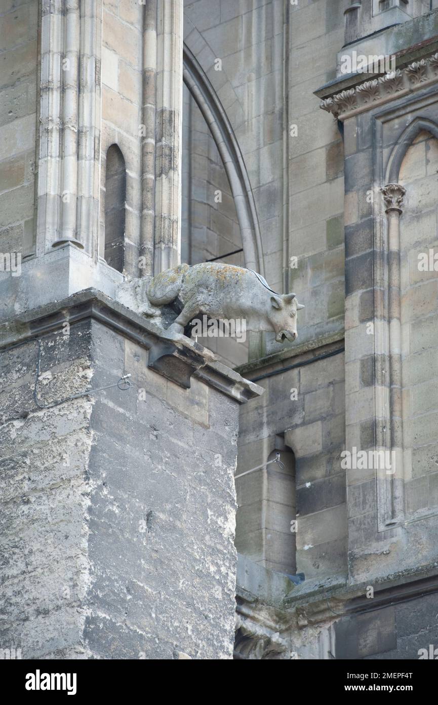 France, Alsace, Strasbourg, Cathédrale notre Dame de Strasbourg, gargouille Banque D'Images