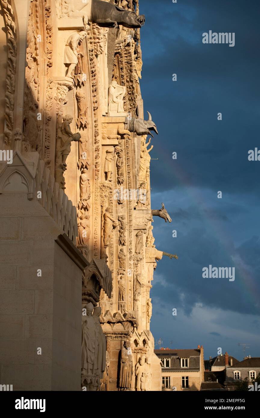 France, Alsace, Strasbourg, Cathédrale notre Dame de Strasbourg, gargouilles Banque D'Images