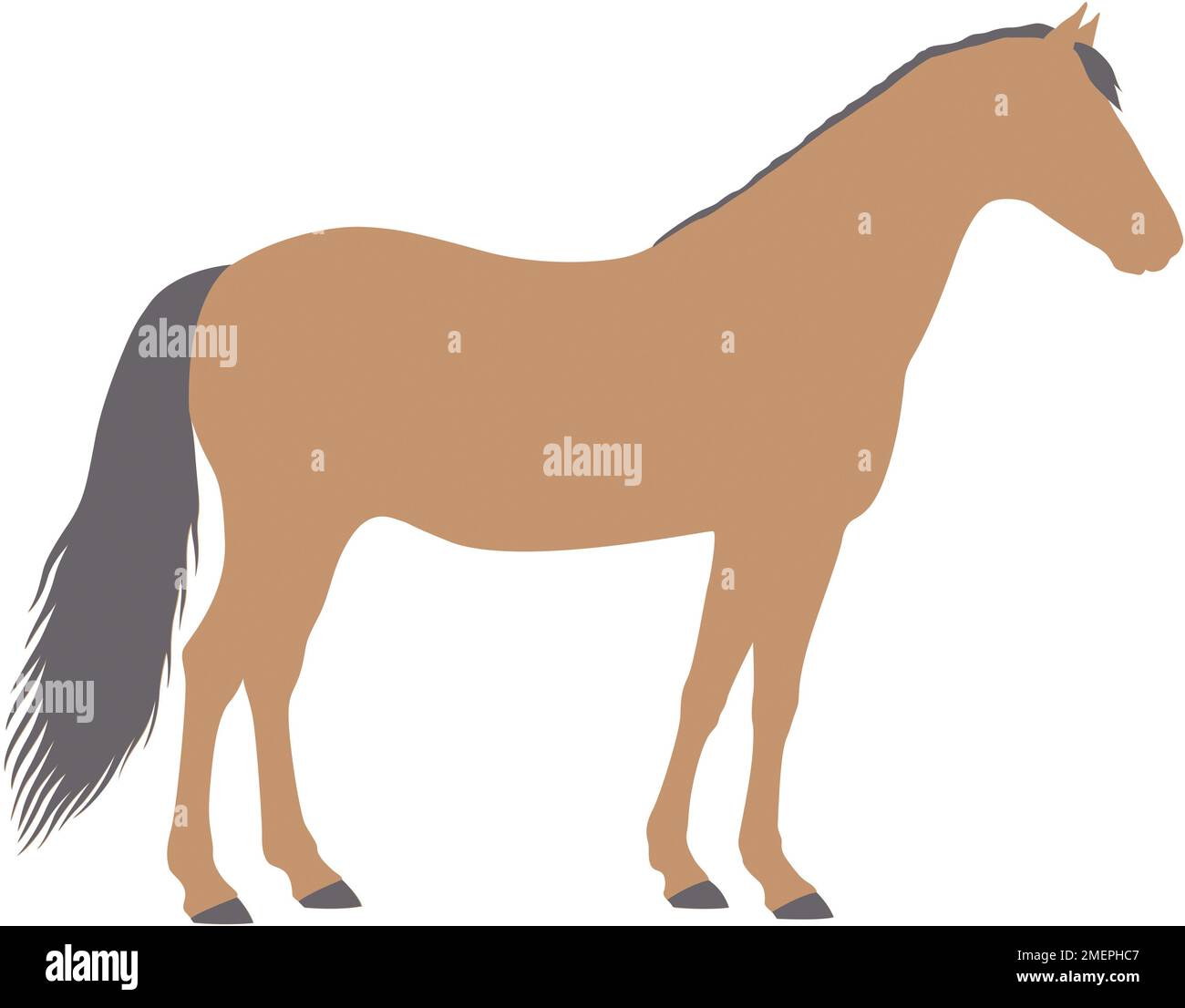 Illustration principale avec profil de cheval Banque D'Images