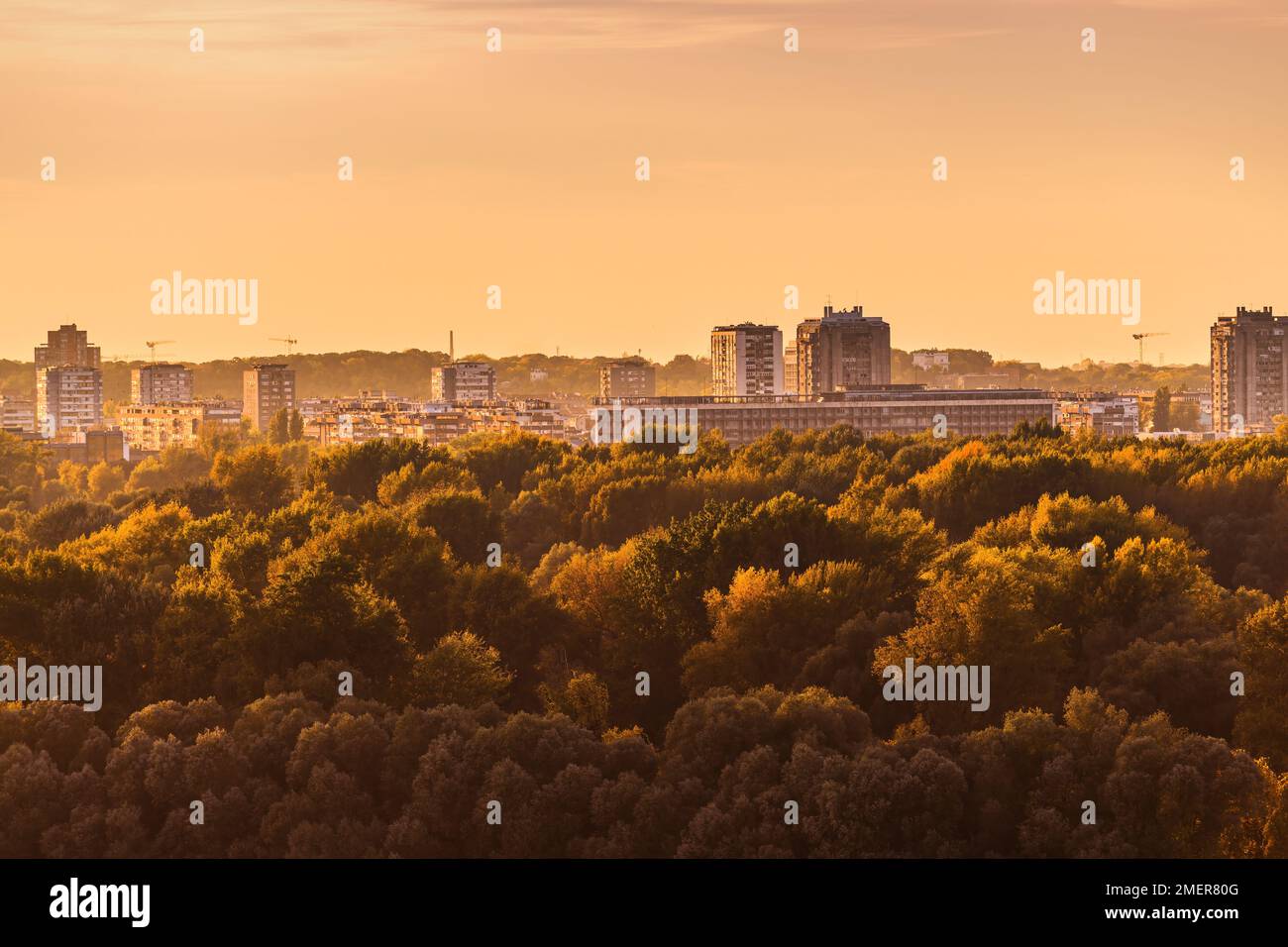 Nouvelle ville de Belgrade au-dessus de la forêt de l'île de la Grande Guerre au coucher du soleil Banque D'Images