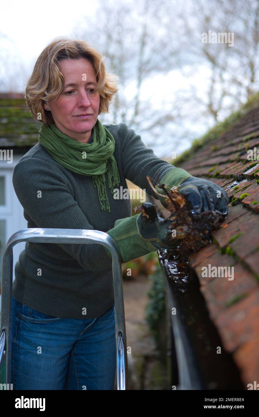 Femme sur une échelle enlever les feuilles de la gouttière de la maison Banque D'Images