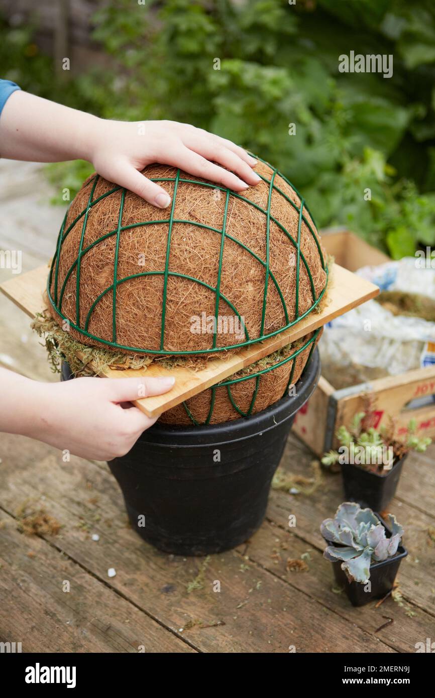 Boule de suspension en mousse, en plaçant les deux côtés ensemble Banque D'Images