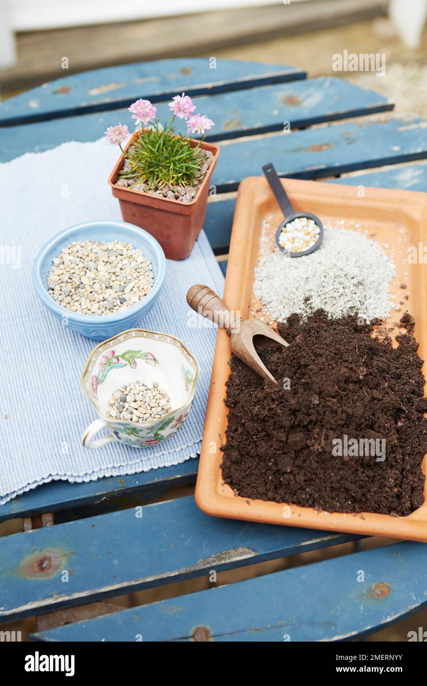 Équipement nécessaire pour fabriquer un semoir à tasse à thé, en utilisant des plantes alpines Banque D'Images Équipement nécessaire pour fabriquer un semoir à tasse à thé, en utilisant des plantes alpines Banque D'Images