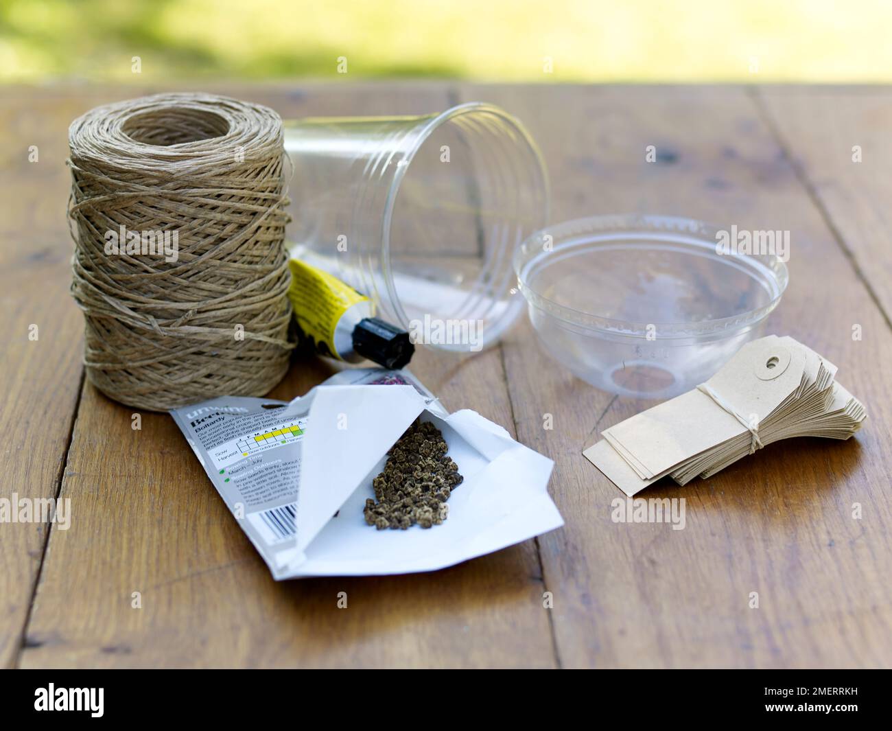 Pot en plastique avec couvercle, ficelle, paquet de graines, étiquettes et tube de colle Banque D'Images