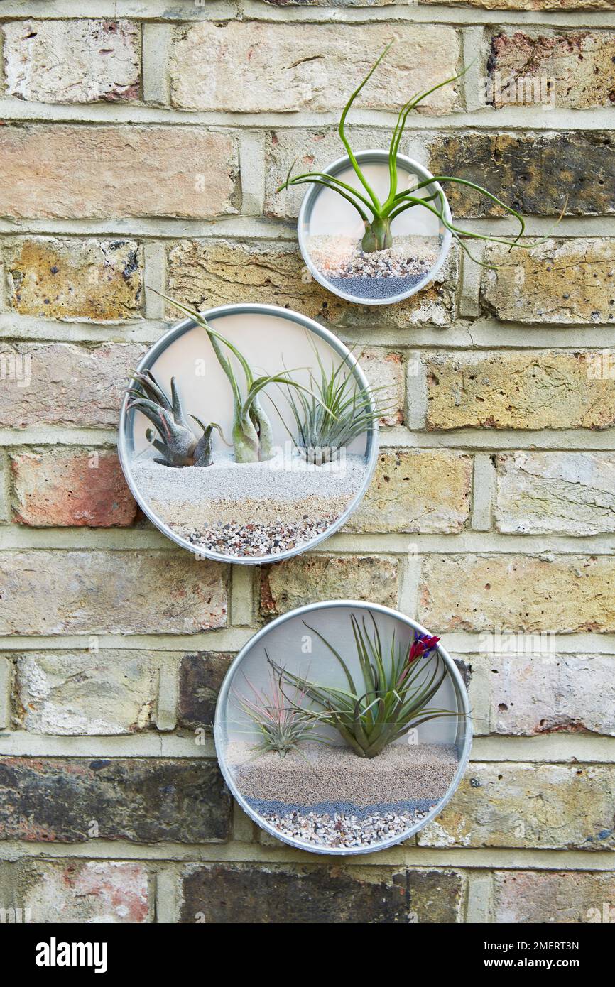 Canister Airplant suspendu au mur Banque D'Images