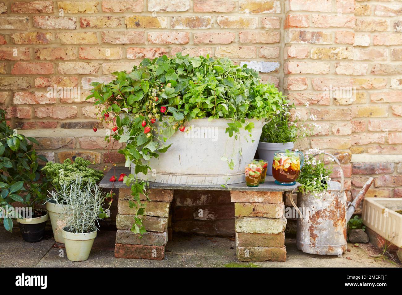 Fraises et menthe poussant dans un bain d'acier galvanisé d'époque, pots contenant des plantes Banque D'Images