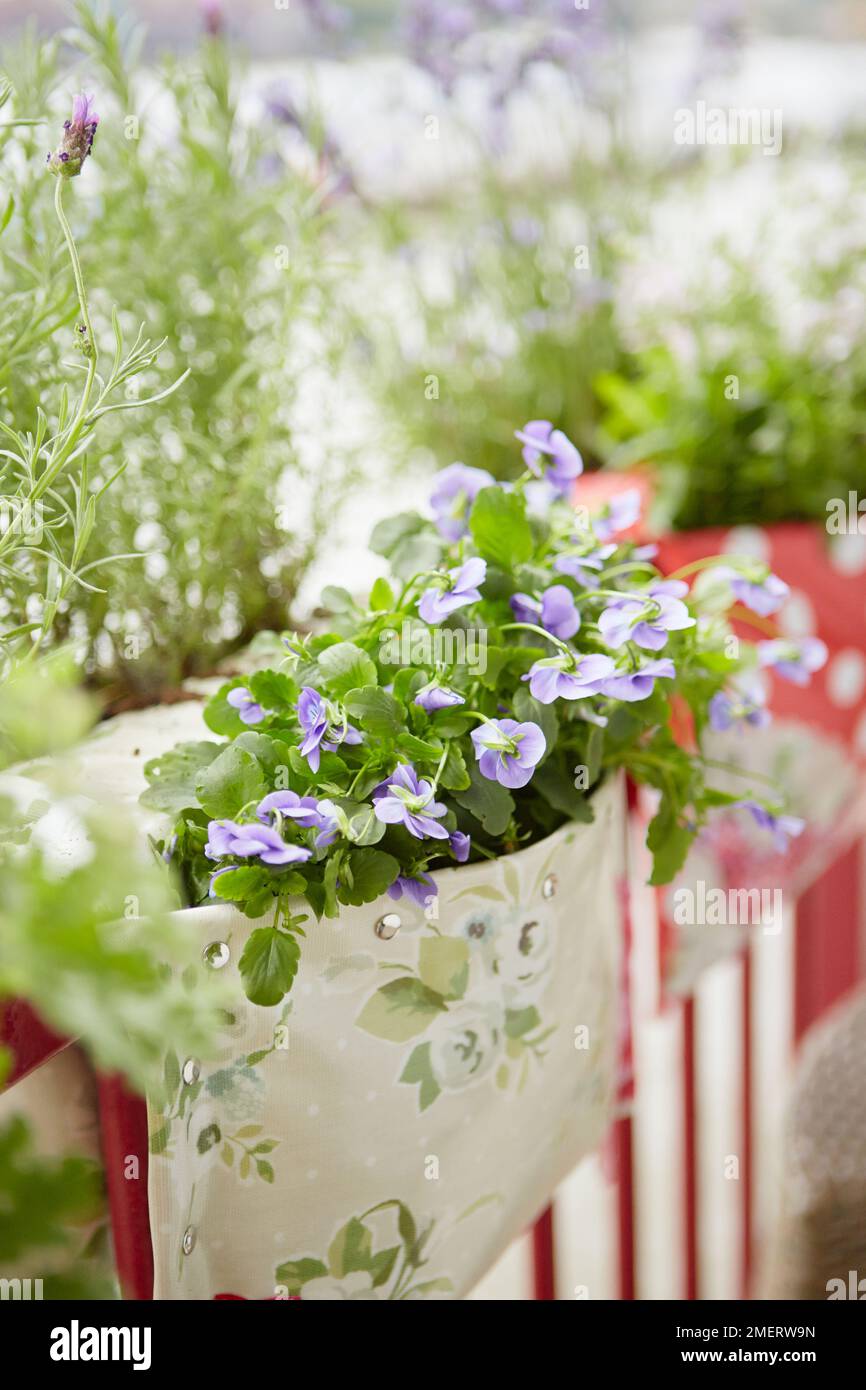 Jardinières de style sac à selle, gros plan Banque D'Images