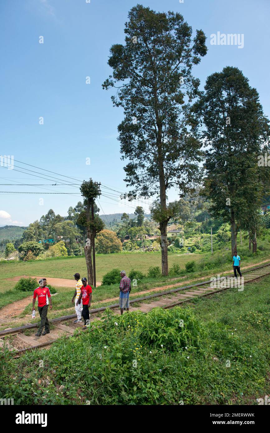 Haputhale, province d'Uva, Sri Lanka, groupe d'hommes marchant le long de la ligne de chemin de fer Banque D'Images