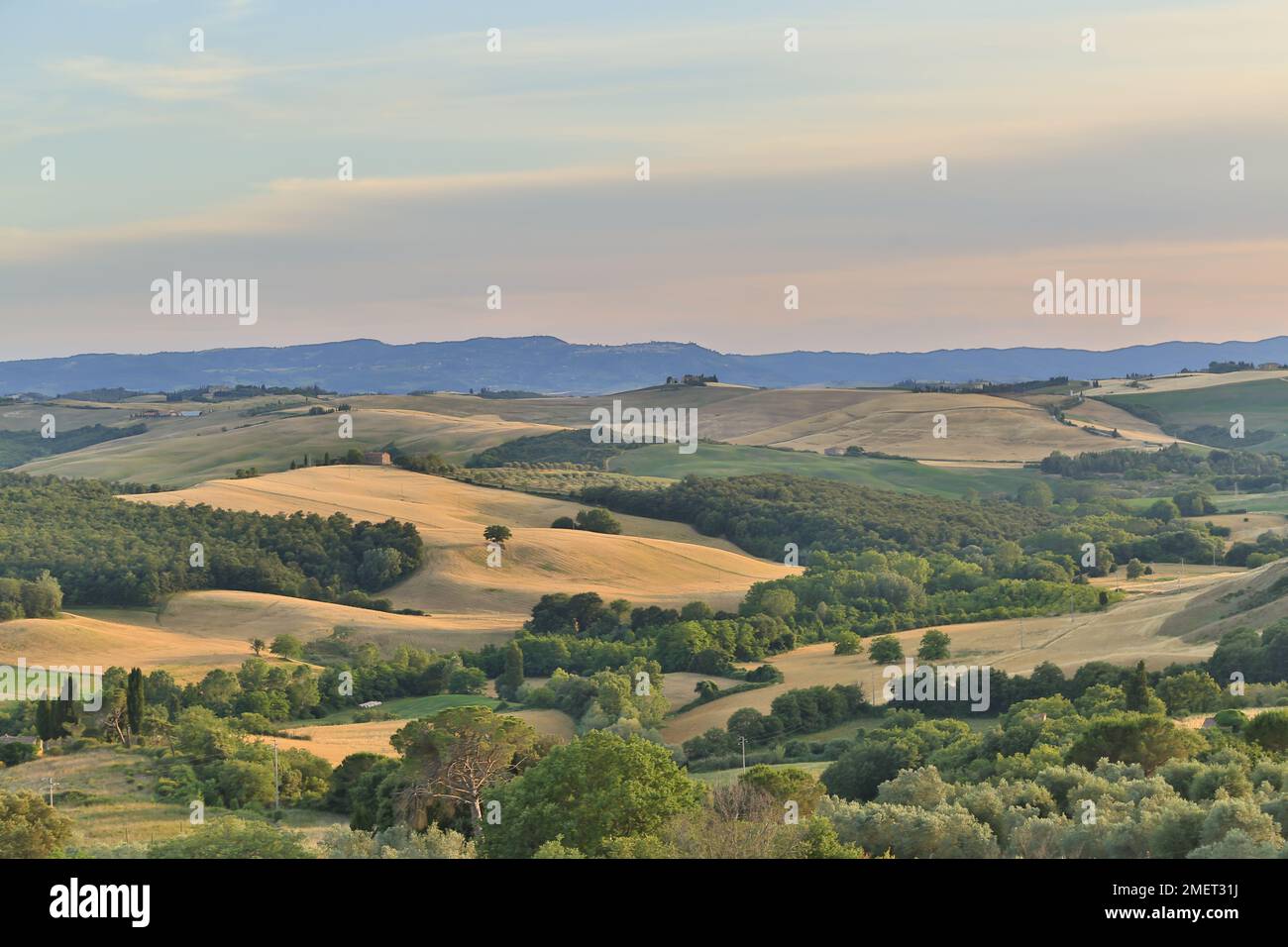 Paysage toscan d'arbres et de collines en été, près de Castelmuzio, Toscane, Italie. Banque D'Images
