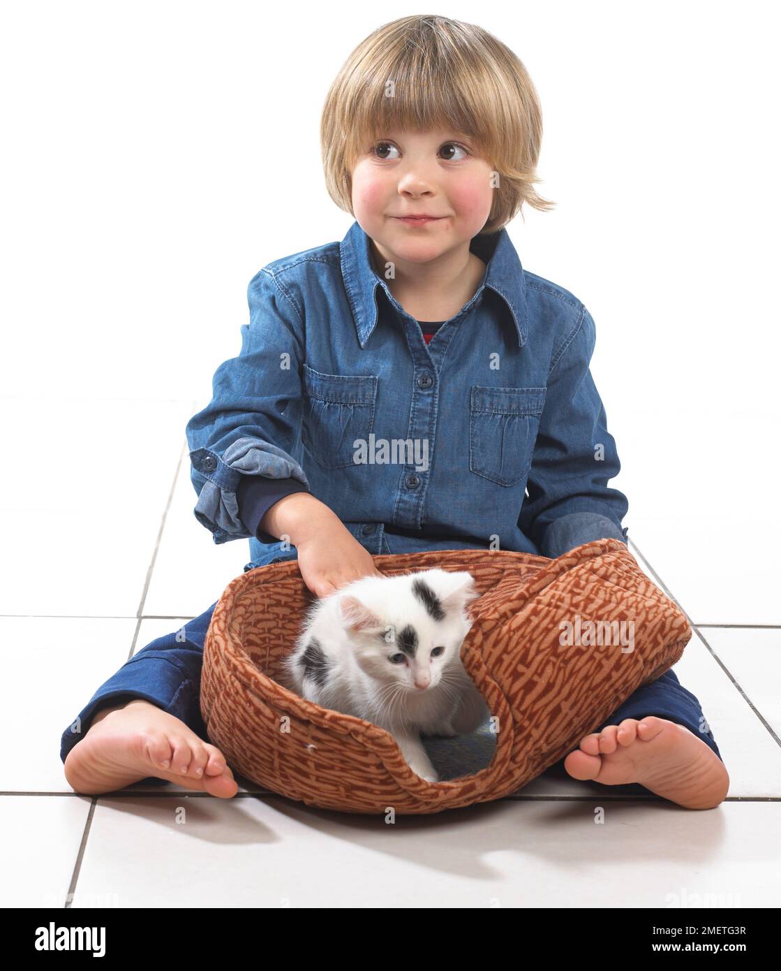 Garçon assis avec chaton dans animal panier entre ses jambes, 3 ans Banque D'Images