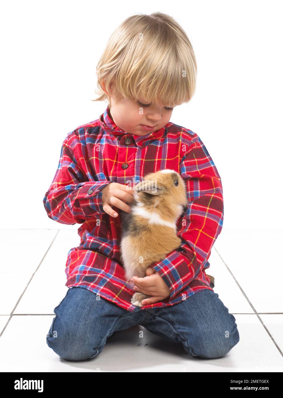 Jeune garçon assis tenant un lapin, 2 ans Banque D'Images