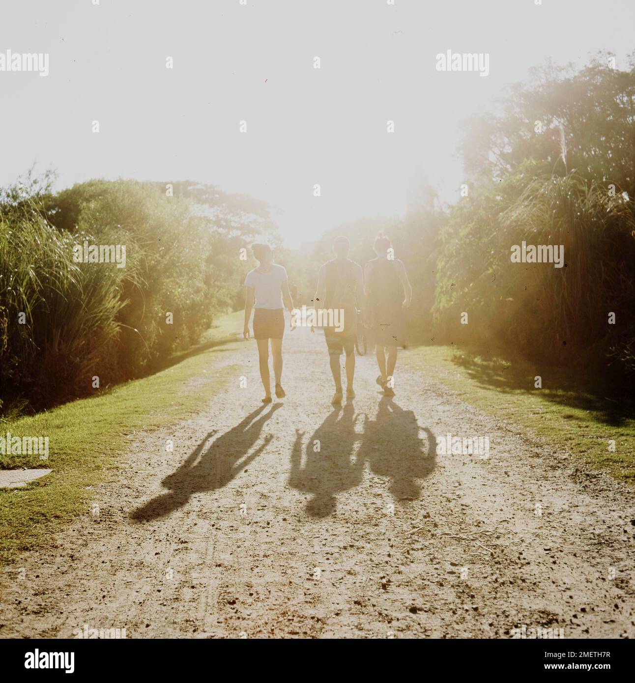 Argentine amis Marche d'été contre-jour, Buenos Aires, Parc, Reserva ecologica de Buenos Aires Banque D'Images