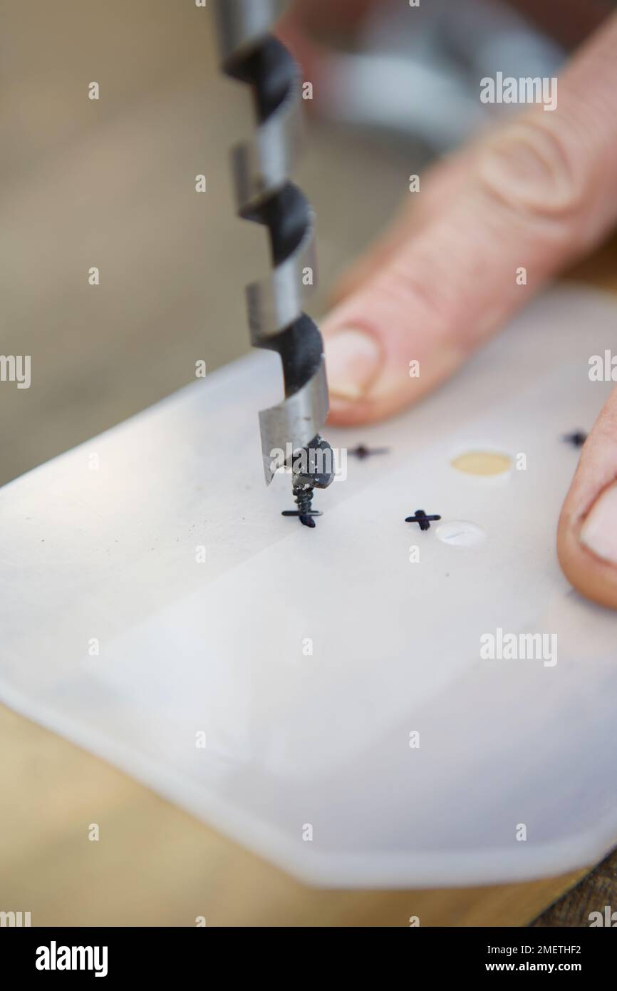 Créer une érable de type bosse, marquer les trous pour les arbres sur un morceau de plastique et percer les trous (légèrement plus grands que les troncs) Banque D'Images