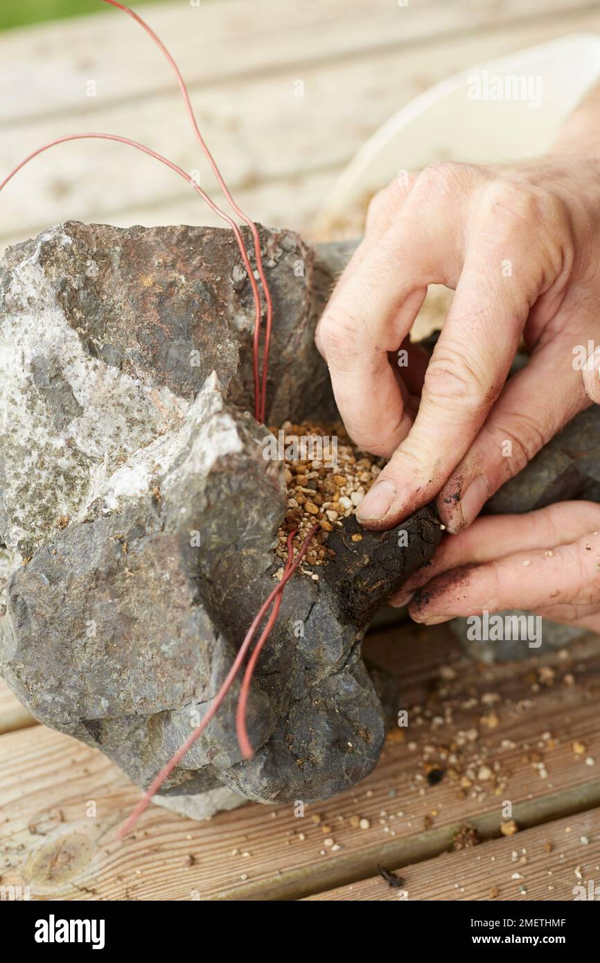 Création d'une plantation de roches, construction d'un mur de keto autour du suceur Banque D'Images