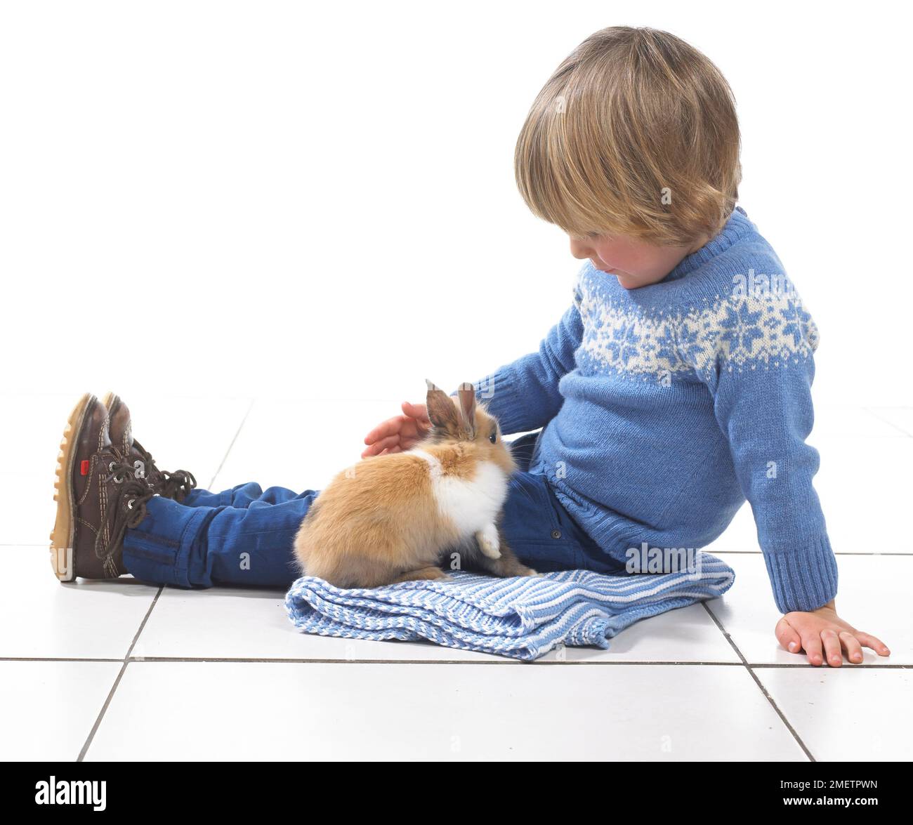 Garçon assis sur lapin avec une couverture, 3 ans Banque D'Images