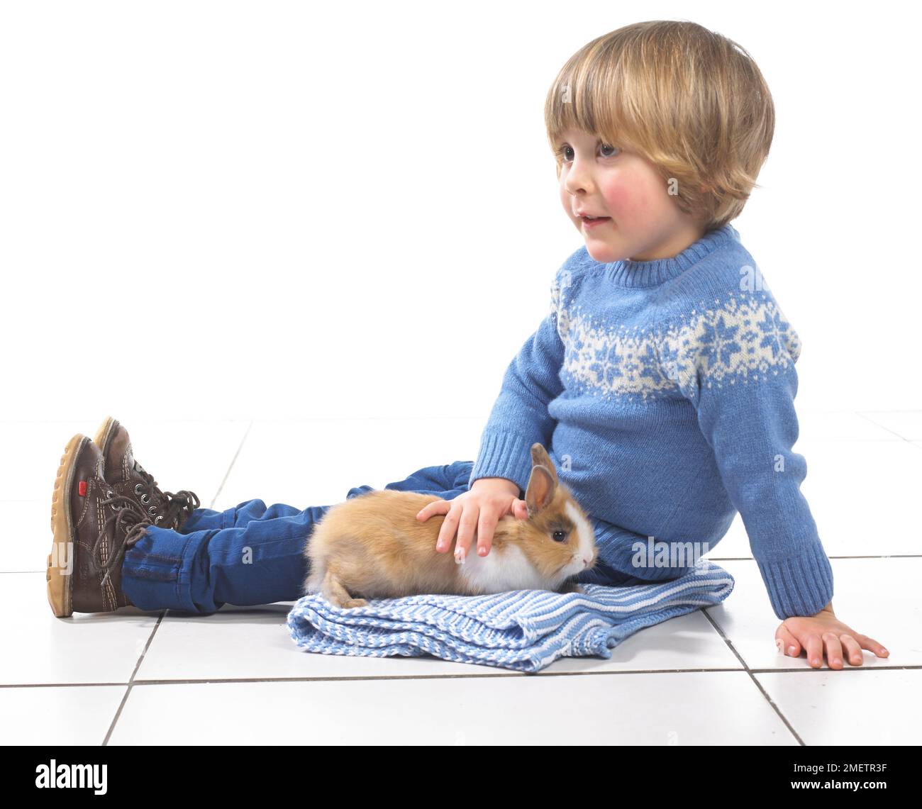 Garçon assis sur lapin avec une couverture, 3 ans Banque D'Images