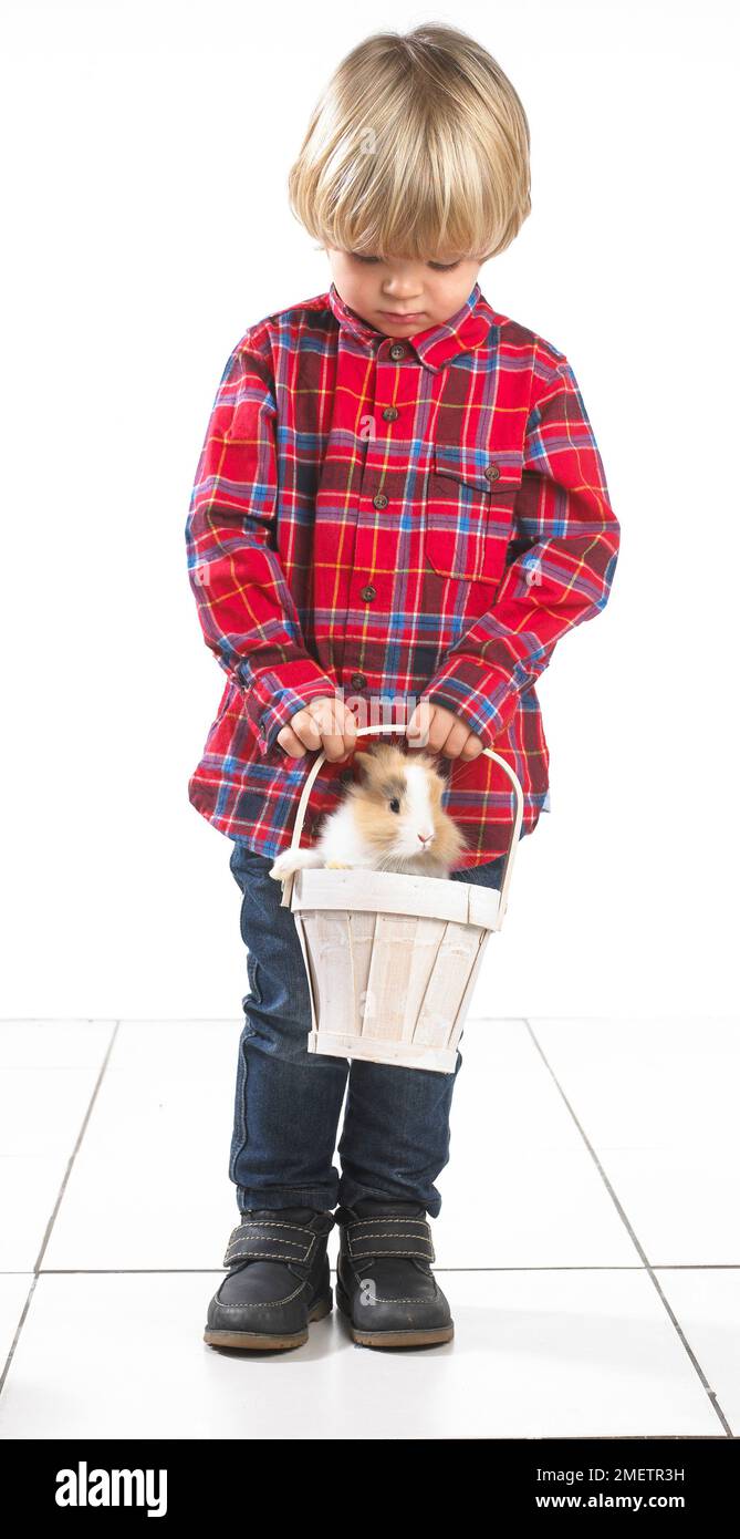 Jeune garçon debout tenant lapin dans seau en bois, 2 ans Banque D'Images