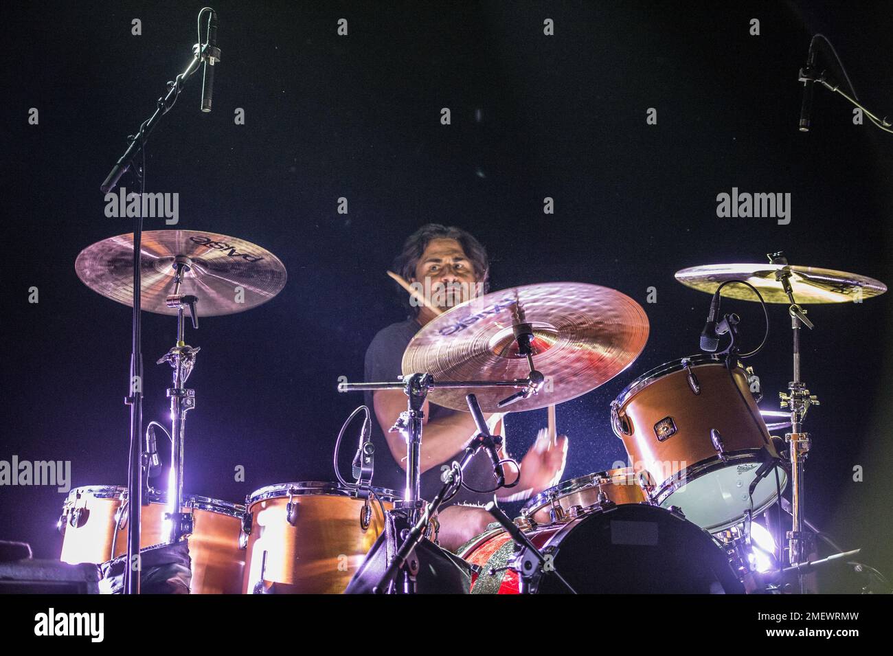 Smashing Pumpkins en direct de Webster Hall à New York Banque D'Images