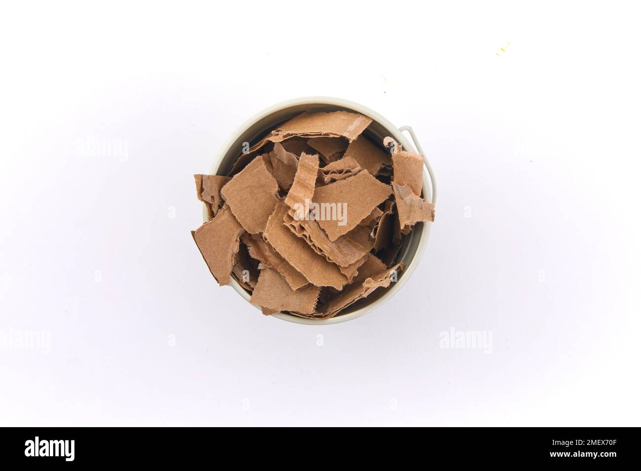 Composter DIY - Pot de grattage - carton Banque D'Images