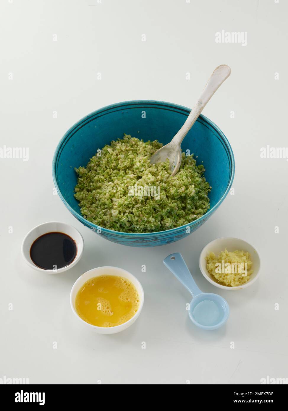 Gyoza végétal Banque D'Images