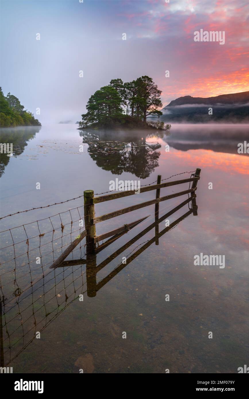 Derwentwater Sunrise, Lake District, Royaume-Uni. Une clôture en bois inondée menant à la vue brumeuse d'un ciel coloré, se reflétant dans l'eau. Banque D'Images