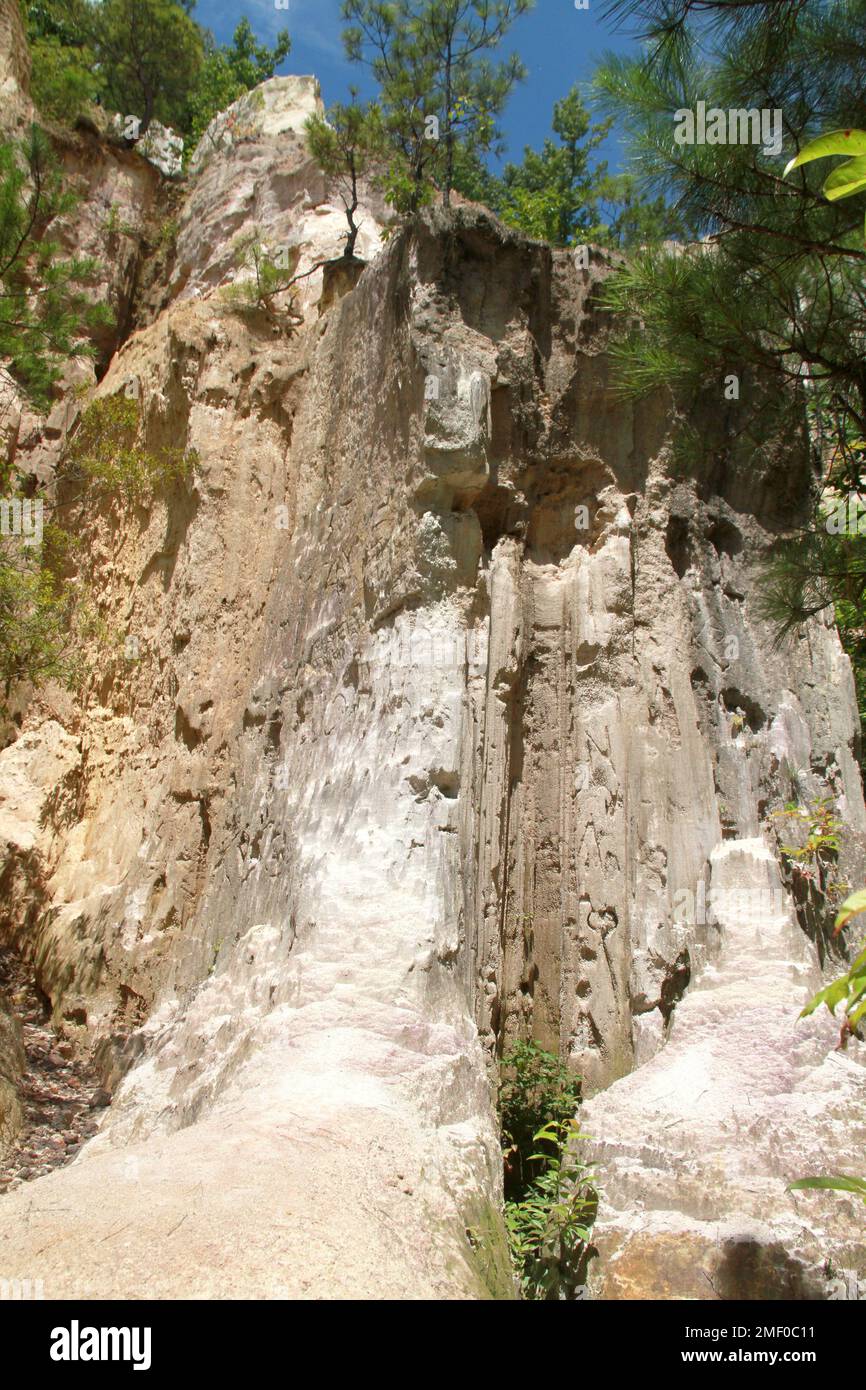 Providence Canyon en Géorgie, États-Unis. Vue sur un mur érodé du canyon depuis le fond du canyon. Banque D'Images