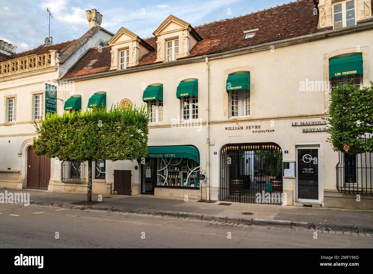 Le domaine William Fèvre à Chablis, France Banque D'Images Le domaine William Fèvre à Chablis, France Banque D'Images
