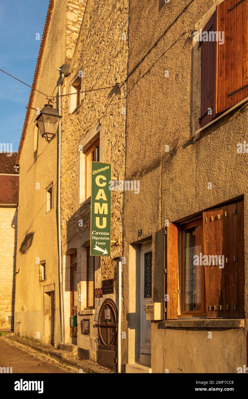 La cave de vinification Camus propose des dégustations dans sa maison de Chablis, en France Banque D'Images