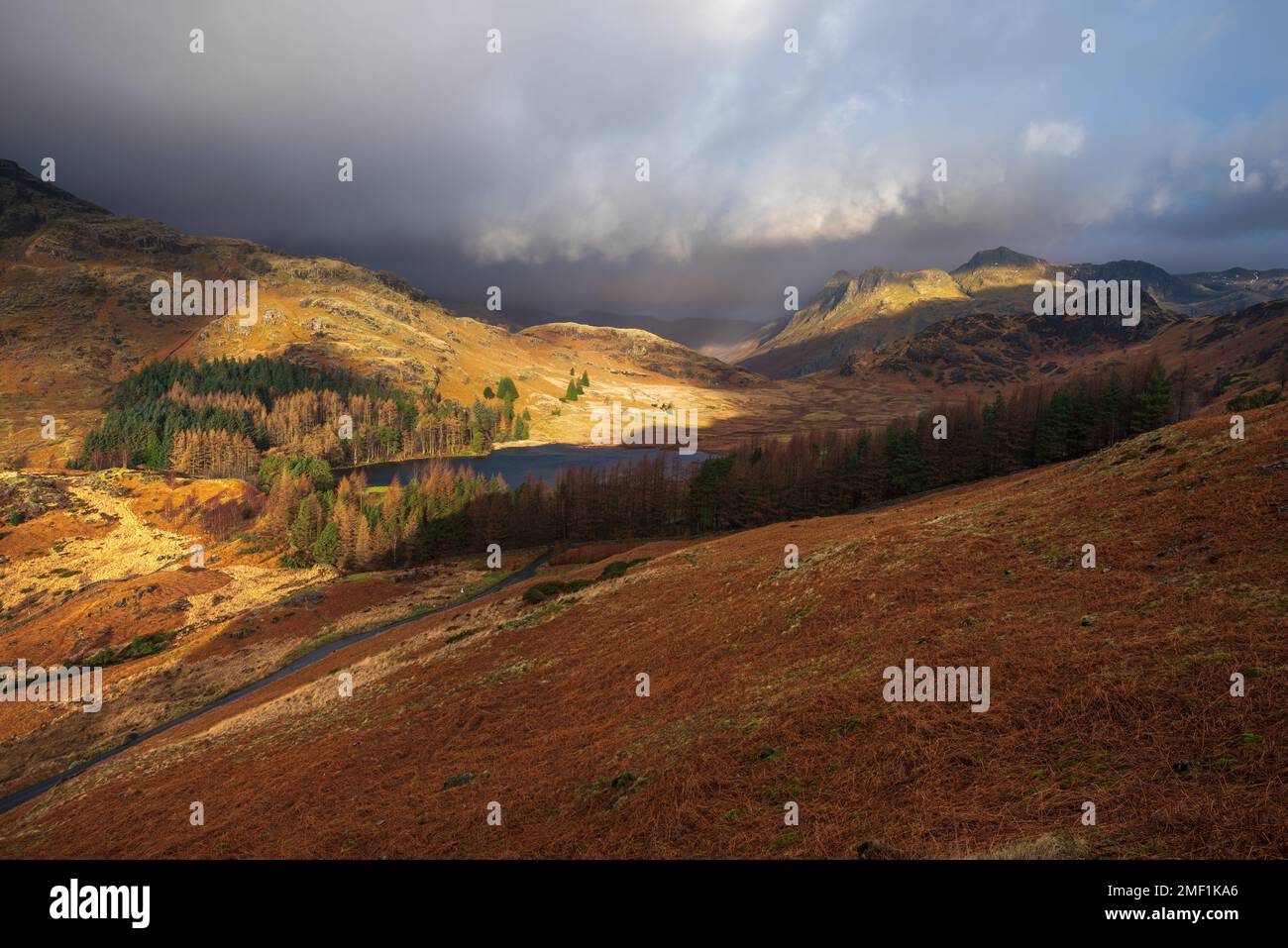 Lumière matinale spectaculaire sur les montagnes Cumbriennes avec vue sur Blea Tarn et Langdale Pikes. Lake District, Royaume-Uni. Banque D'Images