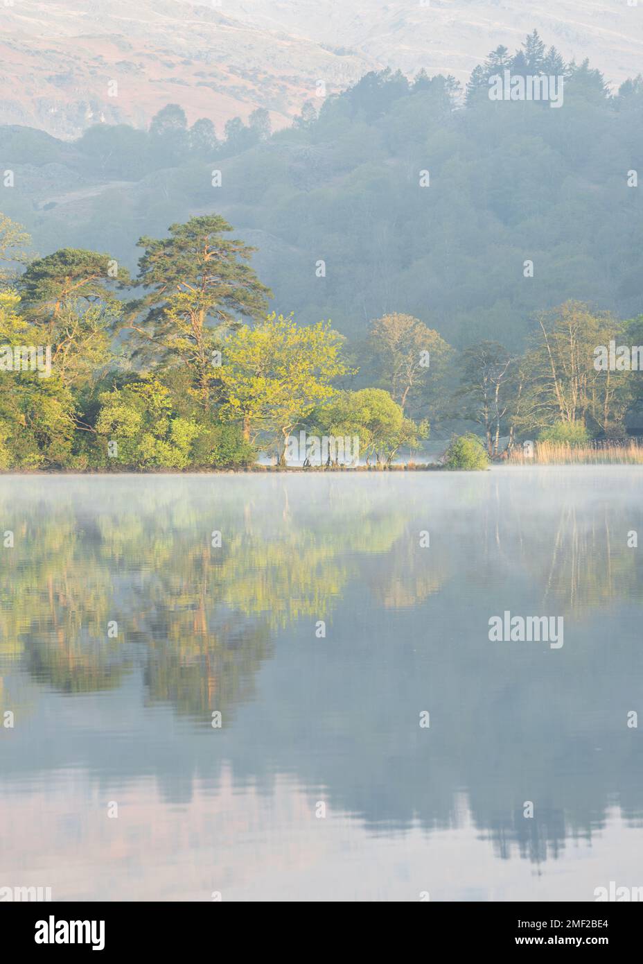 Vue pittoresque et paisible sur le lac brumeux le matin du printemps. Rydal Water, Lake District, Royaume-Uni. Banque D'Images