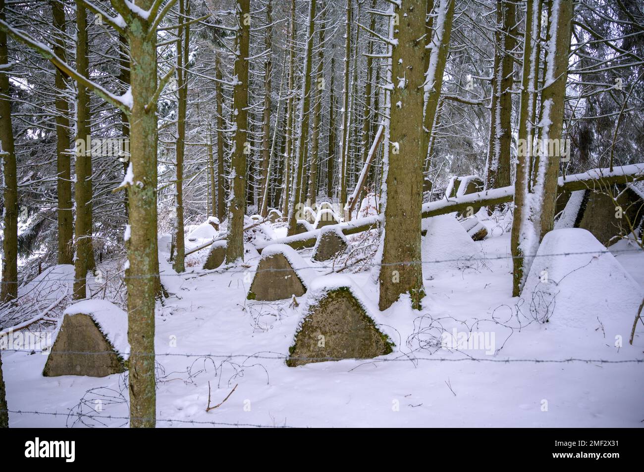Paroi antichar ou dents de dragon sur le Westwall recouvert de neige dans une forêt Banque D'Images