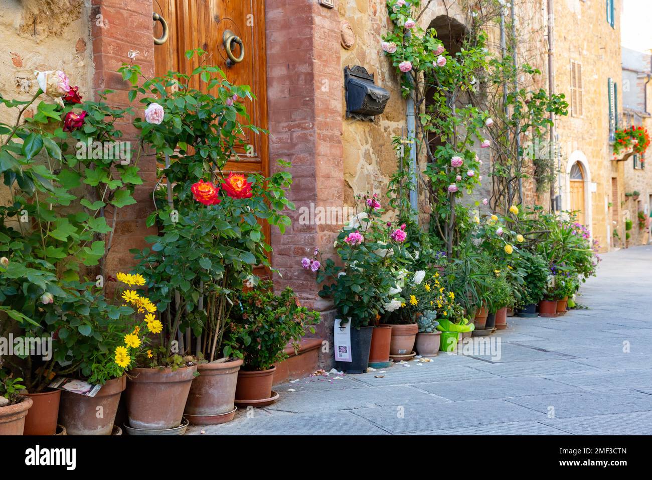 Plantes en pot en terre cuite alignées à l'extérieur des bâtiments en pierre dans le village pittoresque de Montisi, Toscane, Italie. Banque D'Images