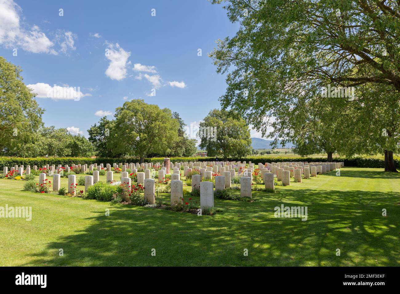 Rangées de pierres tombales au cimetière de guerre du Commonwealth de Foiano della Chiana en été, Toscane, Italie. Banque D'Images