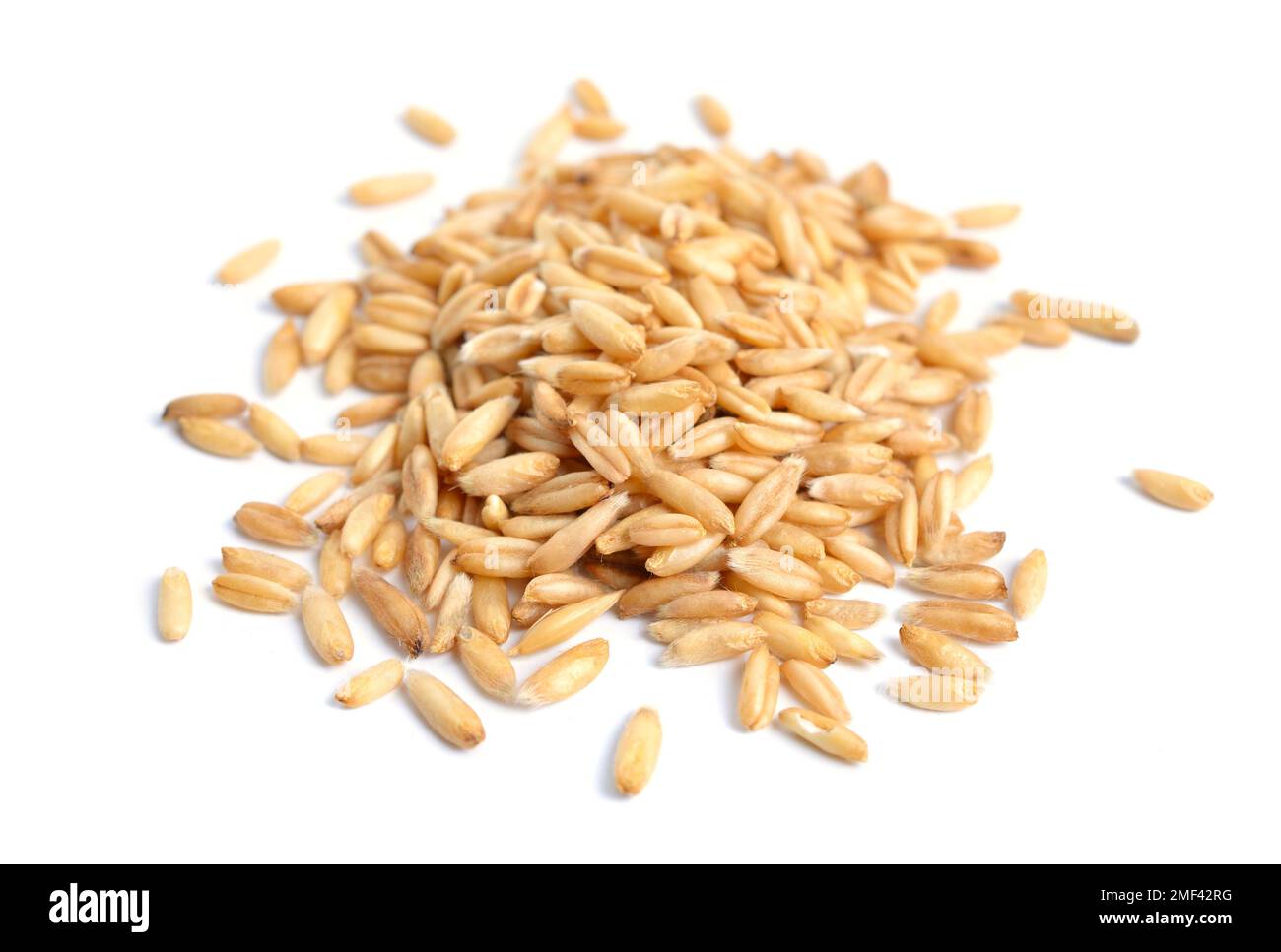 Avoine grains sans husk isolé sur fond blanc Banque D'Images