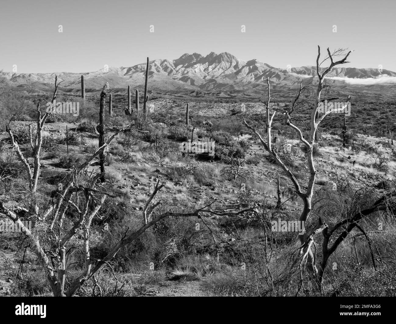 La montagne emblématique de four Peaks et la chaîne de montagnes environnantes près de Phoenix Arizona sont dépoussiérés de neige rare suite à un front froid en mouvement rapide Banque D'Images