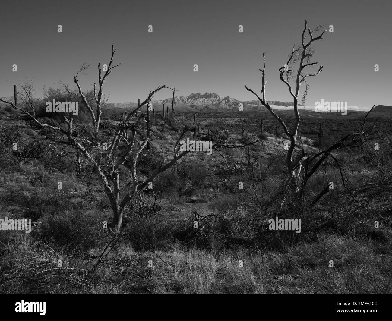 La montagne emblématique de four Peaks et la chaîne de montagnes environnantes près de Phoenix Arizona sont dépoussiérés de neige rare suite à un front froid en mouvement rapide Banque D'Images